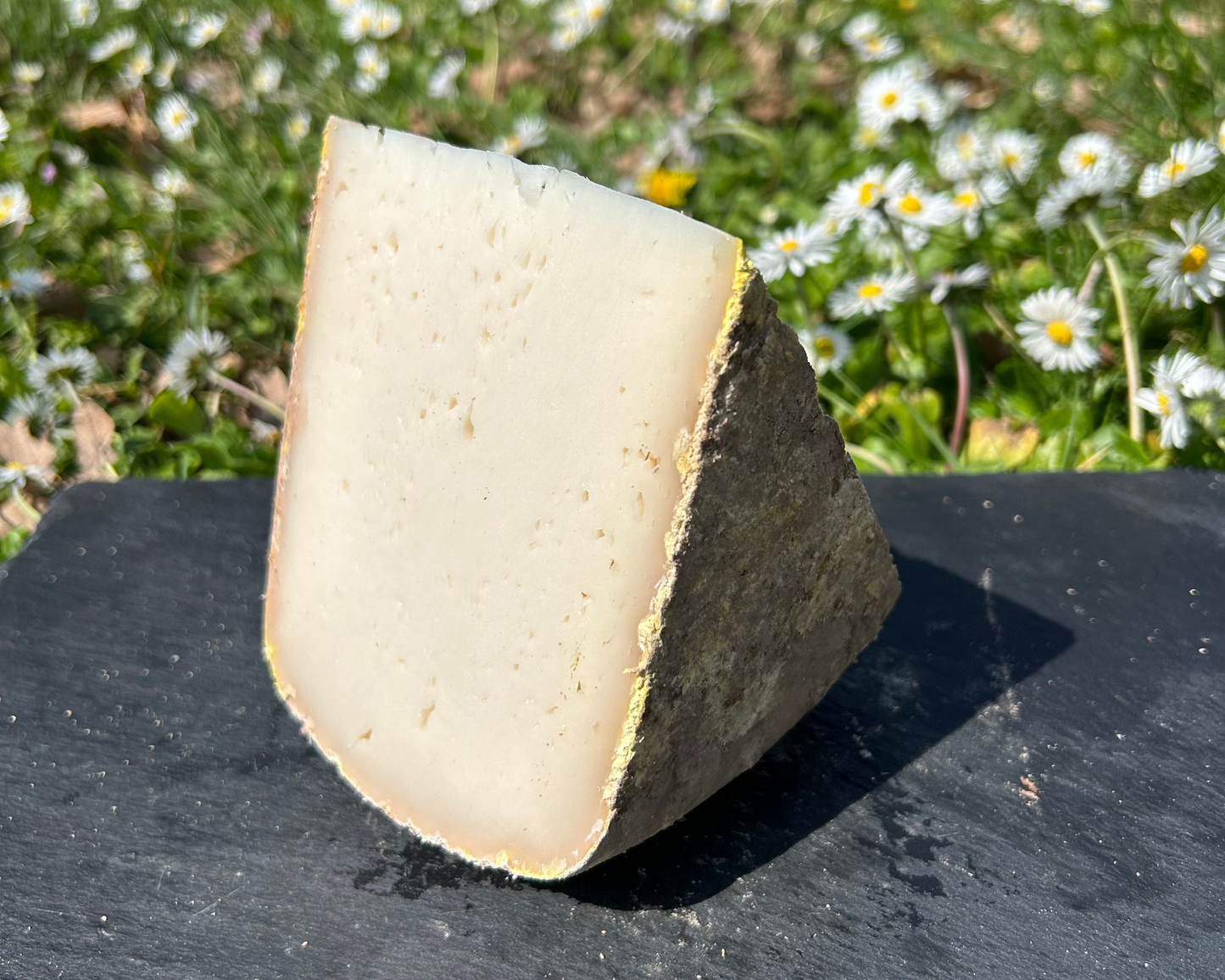 Pur Fromage de Chèvre