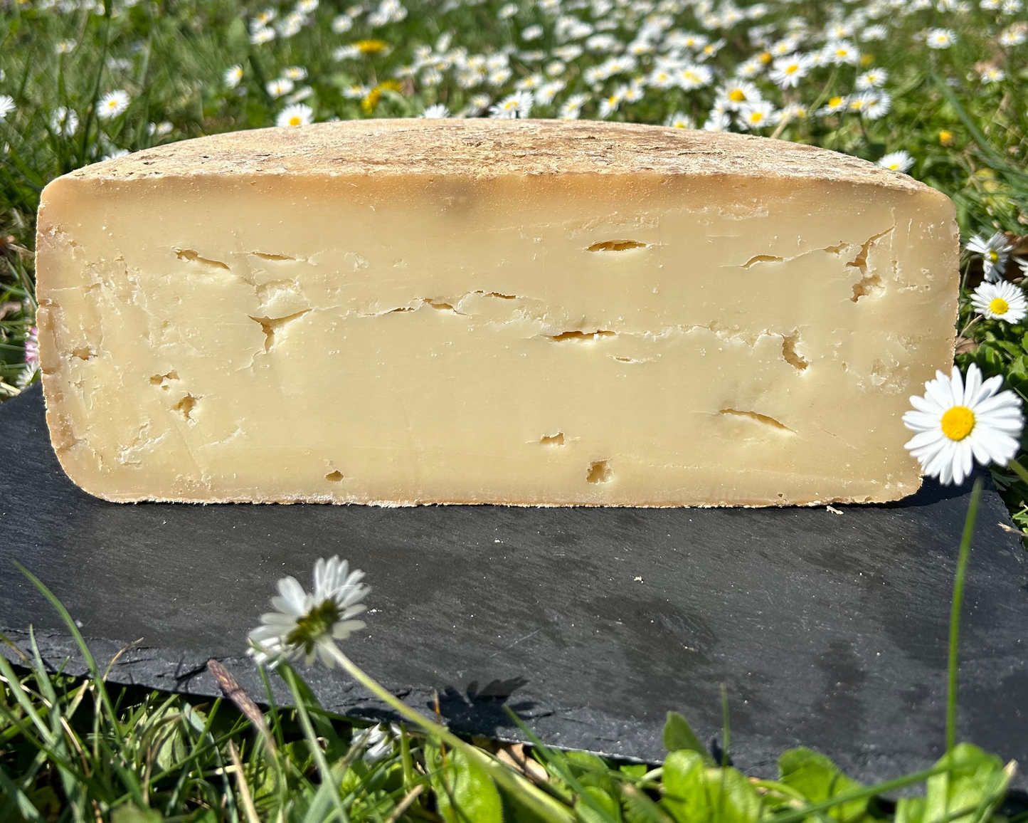Pur Fromage de Brebis au Lait Cru