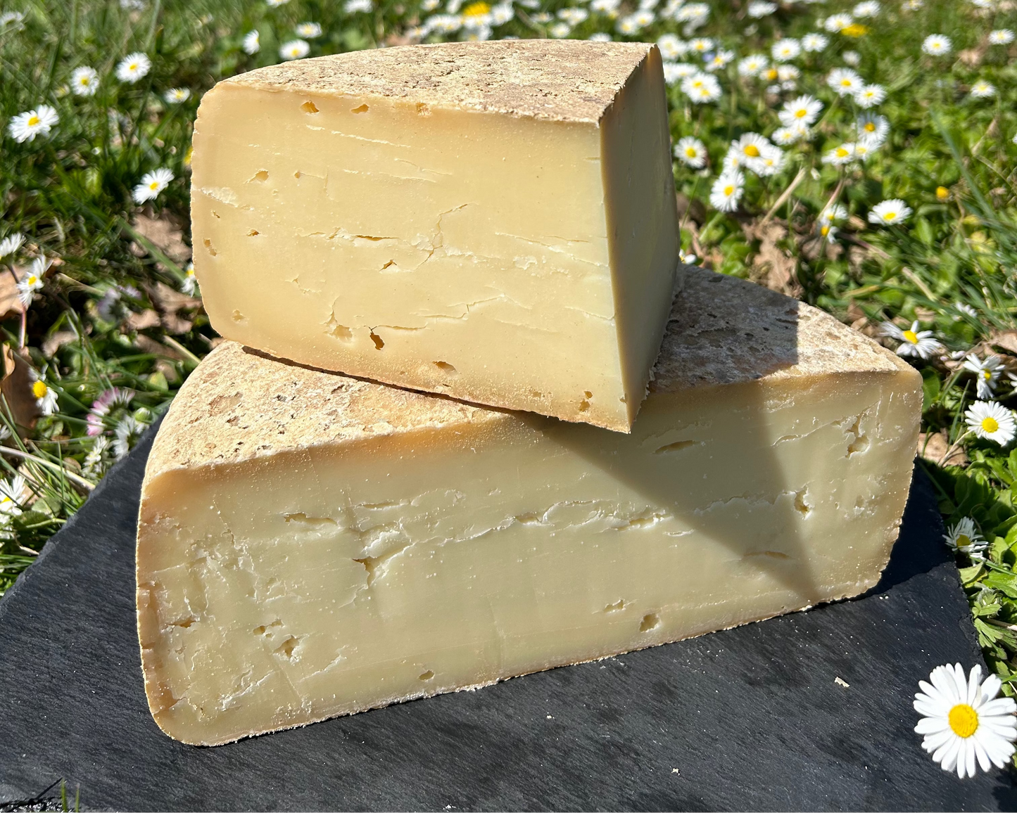 Pur Fromage de Brebis au Lait Cru