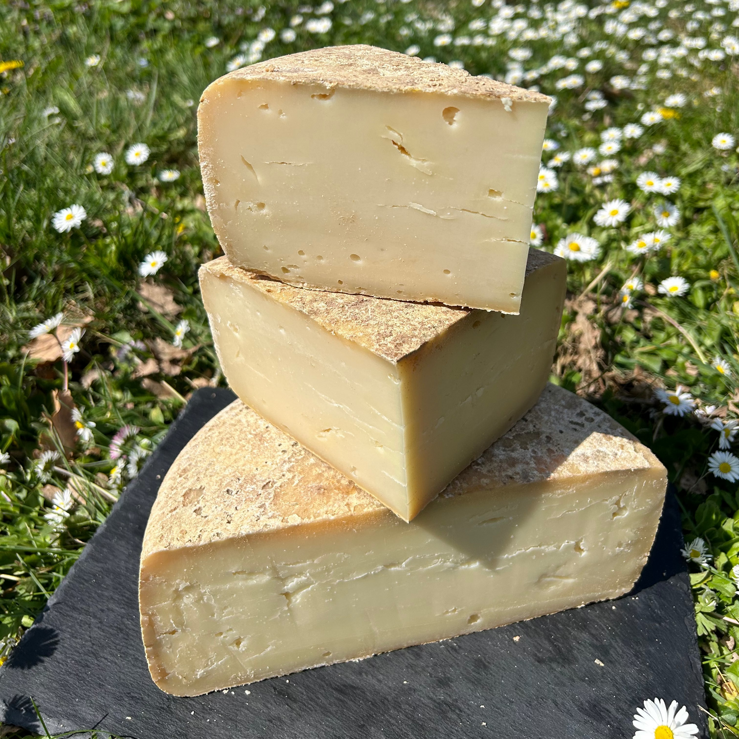Pur Fromage de Brebis au Lait Cru