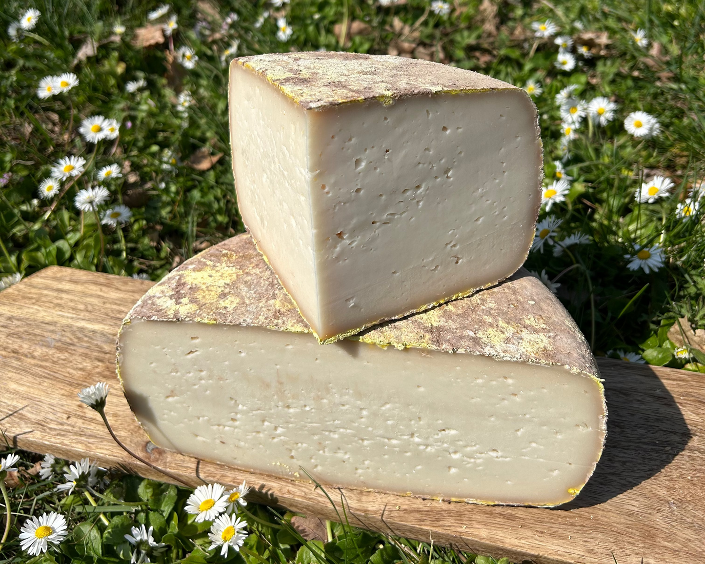 Pur Fromage de Chèvre