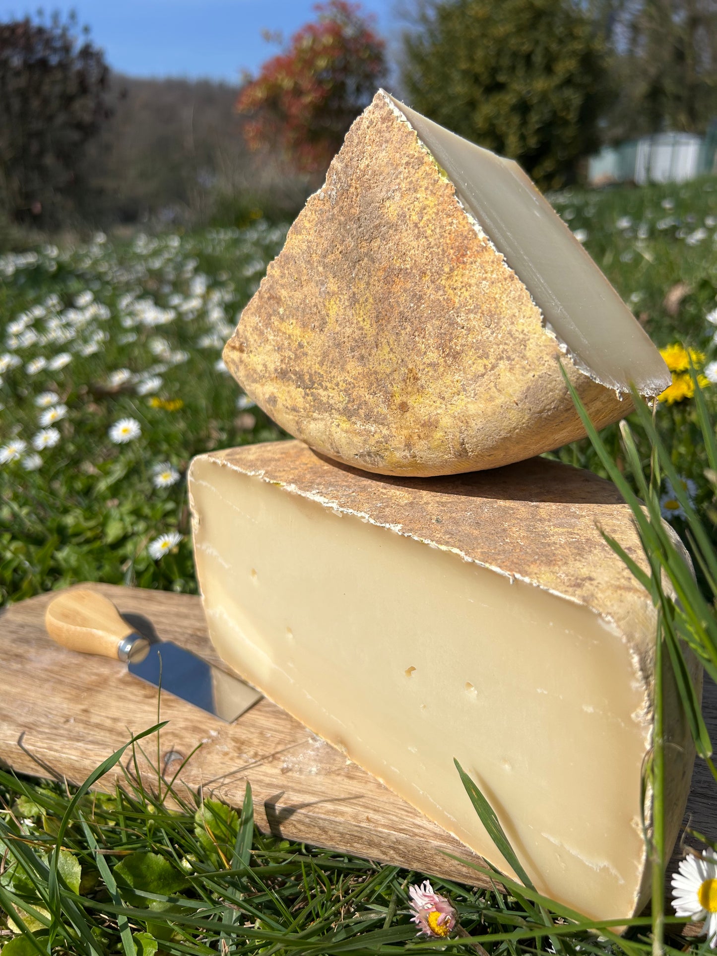 Fromage Chèvre et Brebis