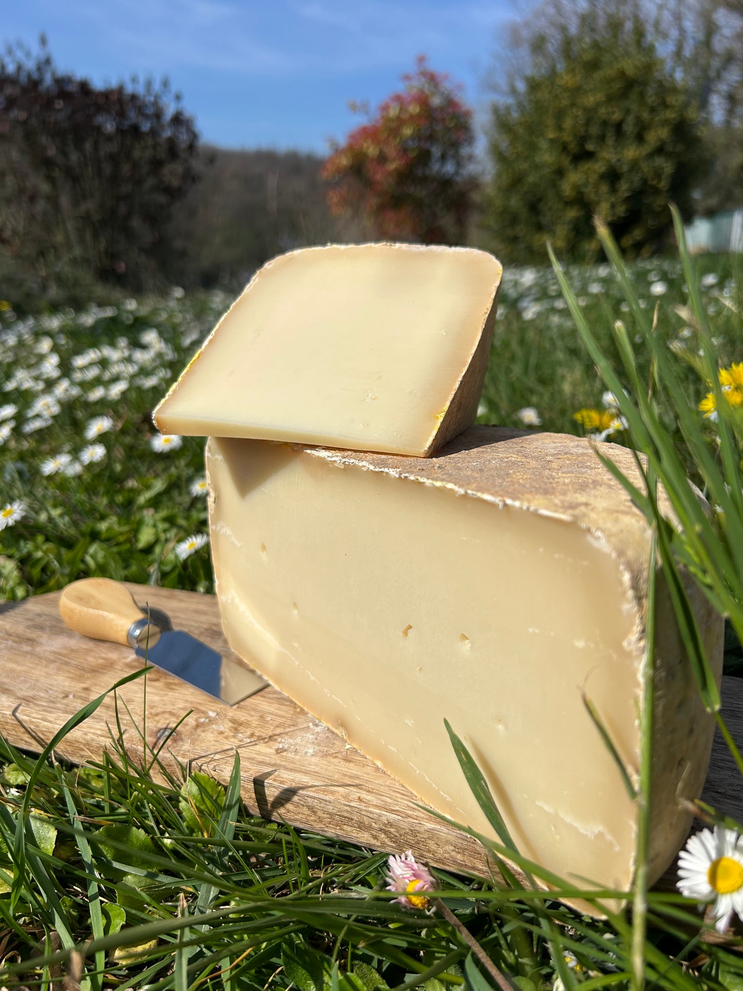 Fromage Chèvre et Brebis